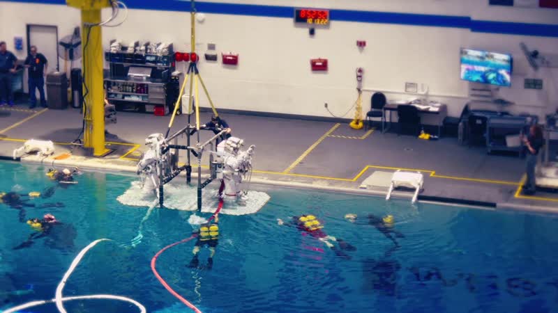 Cosmic Careers: NBL Diver